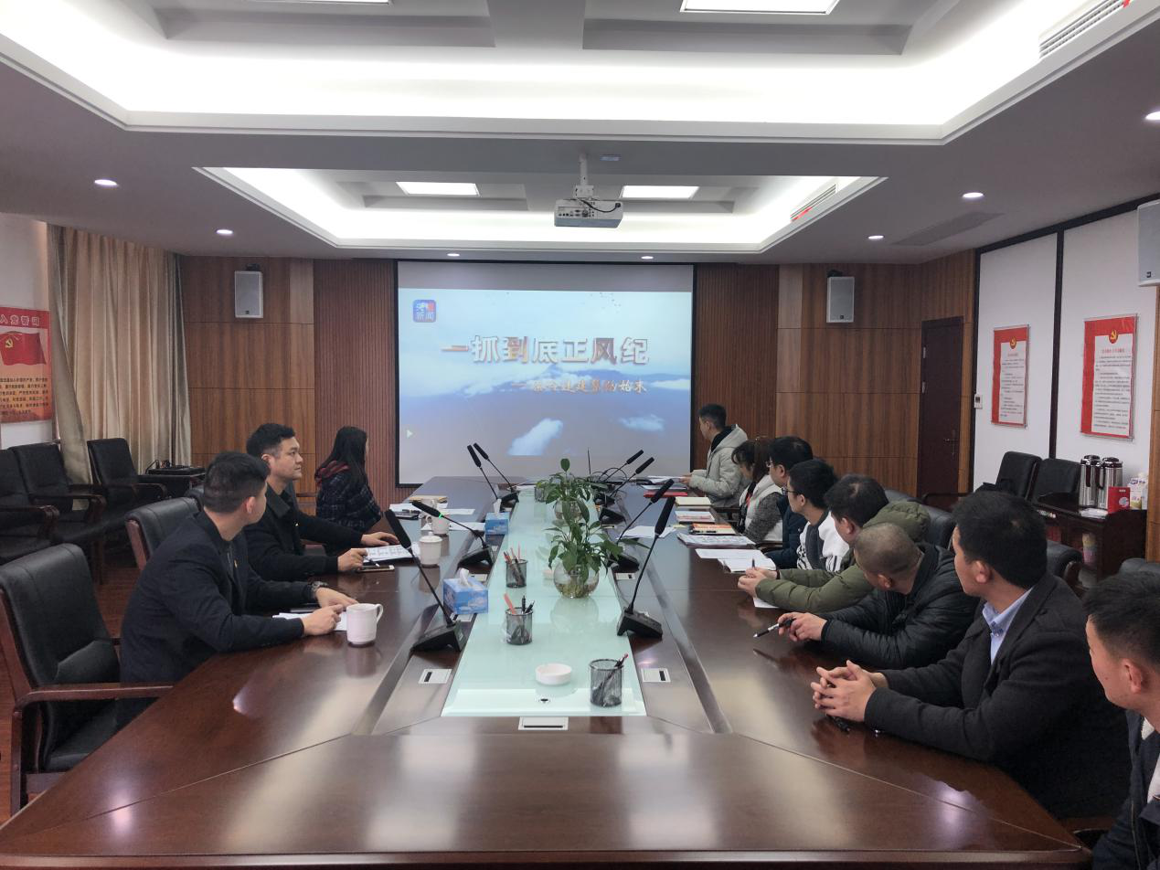 南昌城投土地开发公司组织寓目《一抓究竟正风纪——秦岭违建别墅整治委屈》_庄闲游戏