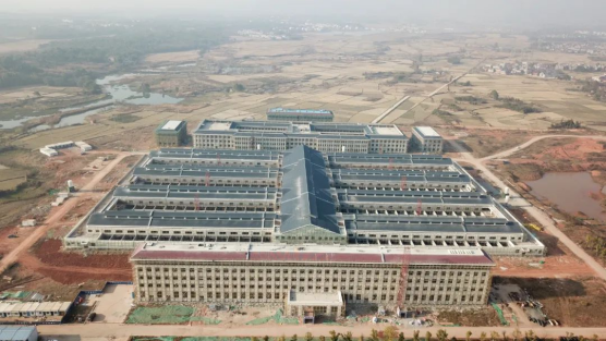 2022_庄闲游戏