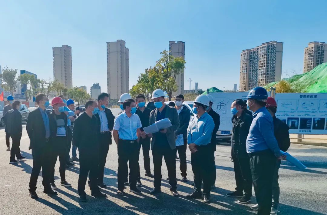 副市长江新洪一行调研青山湖西岸片区基础设施建设工程及洪腾高架项目_庄闲游戏