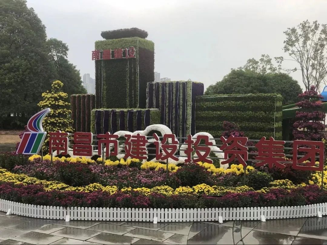 以菊为媒 以花为介 展现效劳都会与生长之宗旨——市庄闲游戏集团参展南昌市第三十四届菊花展_庄闲游戏