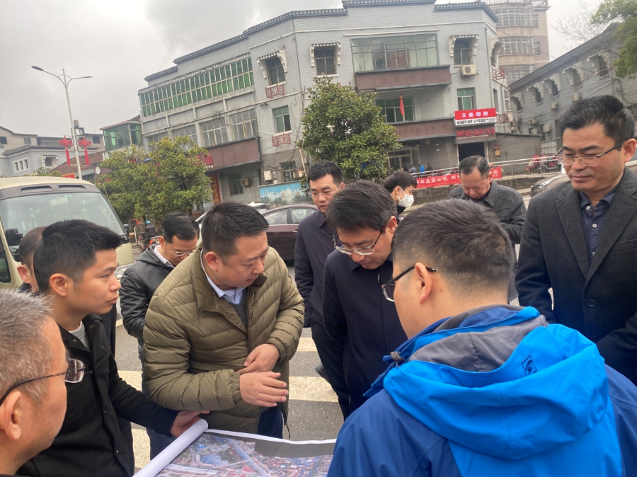 副市长江新洪一行调研洪腾高架项目_庄闲游戏